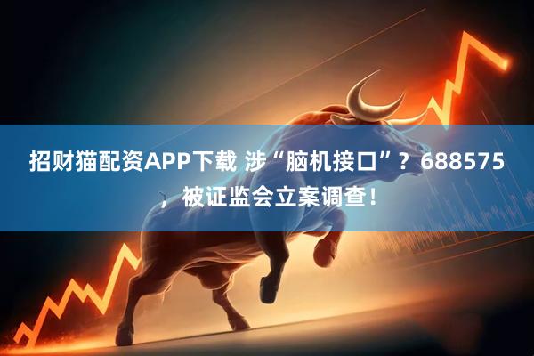 招财猫配资APP下载 涉“脑机接口”？688575，被证监会立案调查！